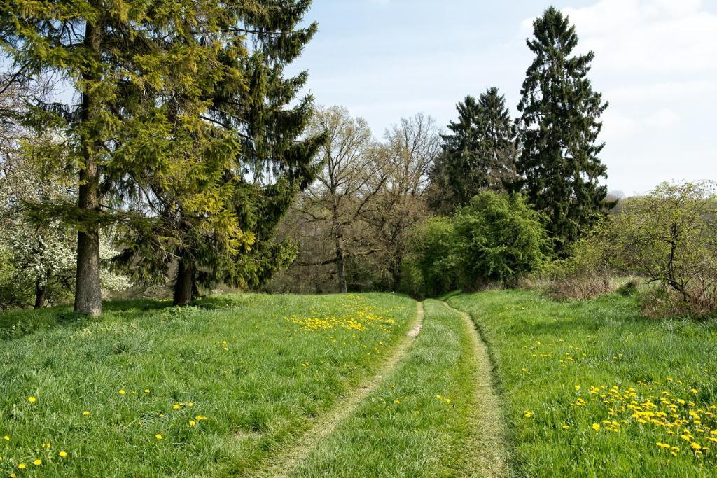 Entre Nous Hotell Rozoy-sur-Serre Exteriör bild